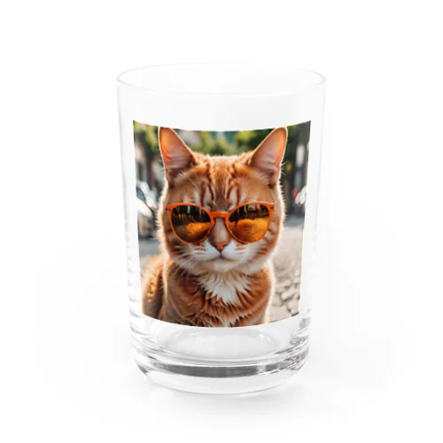 オレンジサングラスをかけた愛らしい猫ちゃん グラス