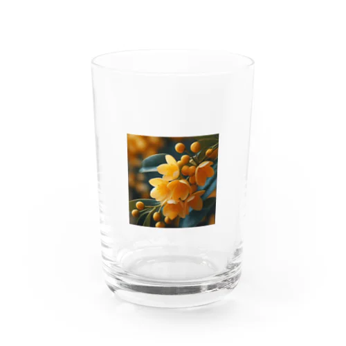 osmanthus Water Glass