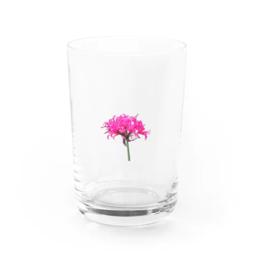 曼殊沙華 Water Glass