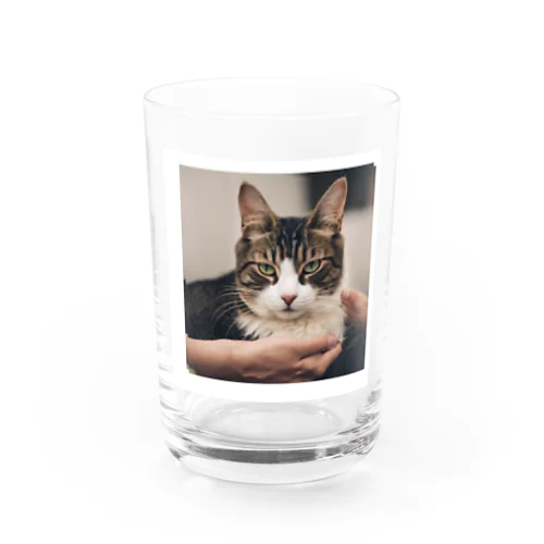 癒しの猫グッズ♪ Water Glass