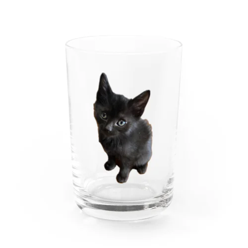 くーちゃん Water Glass