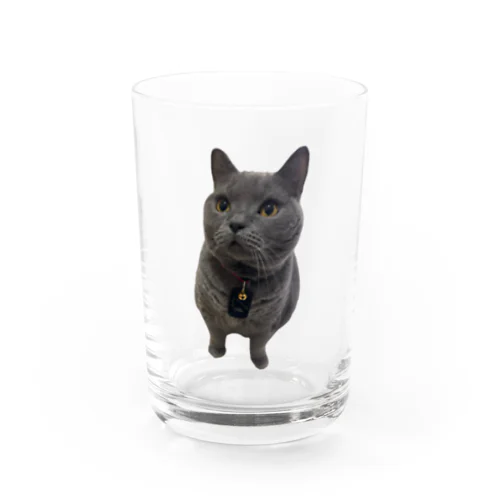 シャルトリュー Water Glass