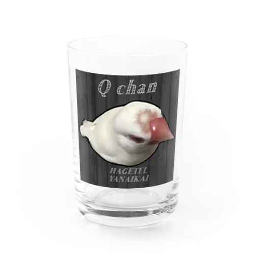 うちの白文鳥Qちゃん Water Glass