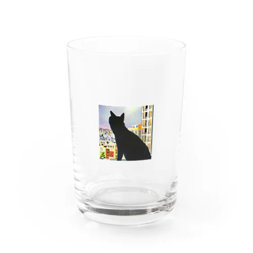 見つめる黒猫 Water Glass