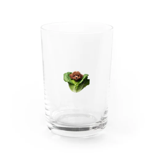 トイプードル Water Glass