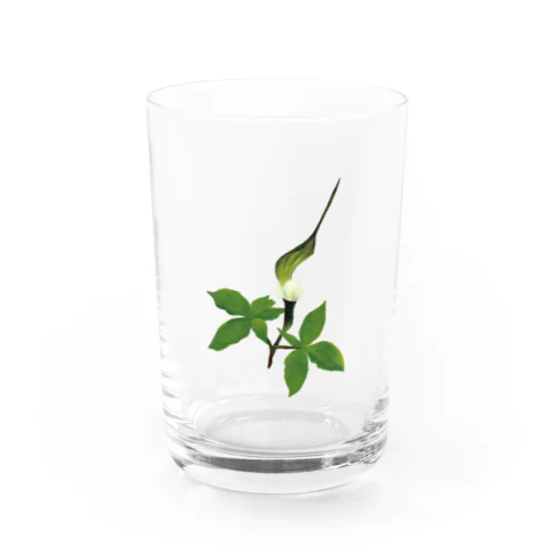 pepe garden【ユキモチソウ】 Water Glass