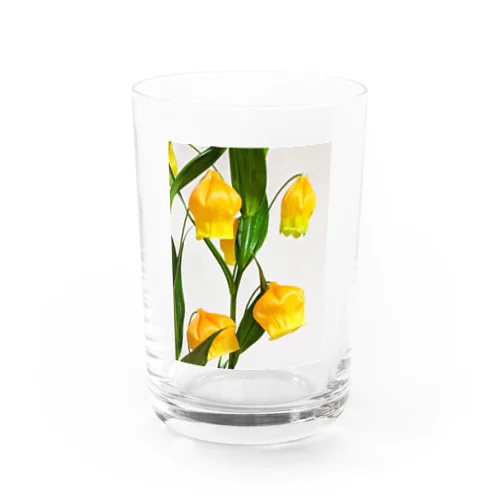 サンダーソニア Water Glass