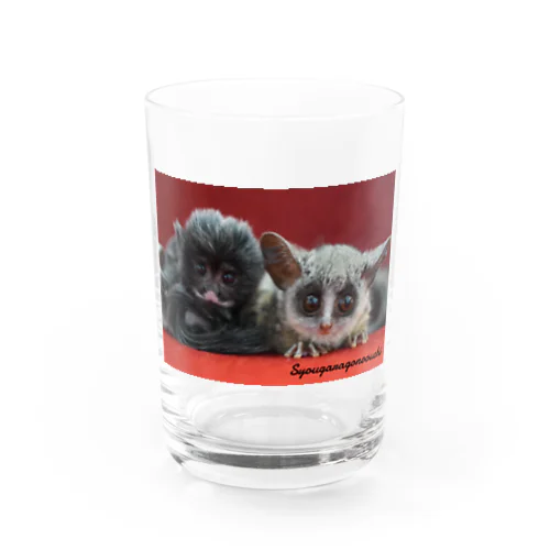 ショウガラゴとムネアカタマリン Water Glass