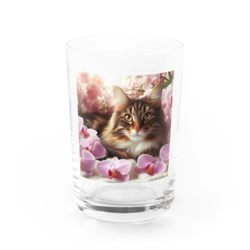 猫と胡蝶蘭 Water Glass