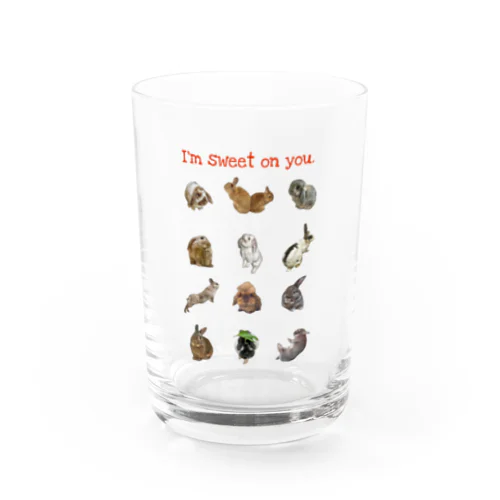 いろんなうさぎさん Water Glass