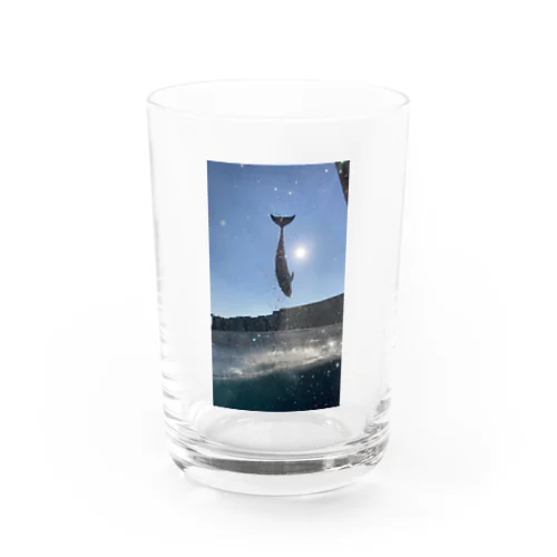 イルカのジャンプ Water Glass