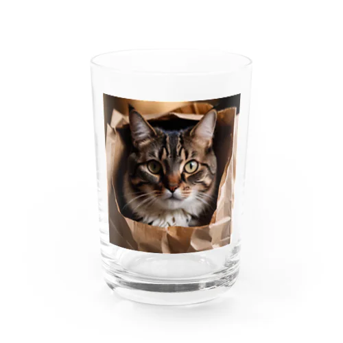 紙袋から見つめてくる猫 グラス