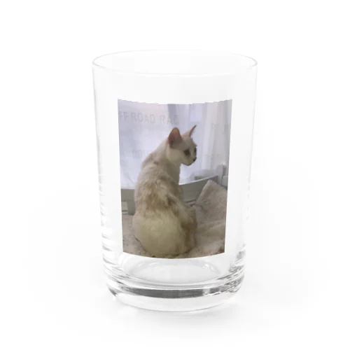 後ろ美猫MILU🐾 Water Glass