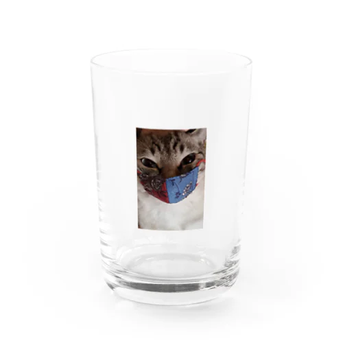 マスクにゃん🐾 Water Glass