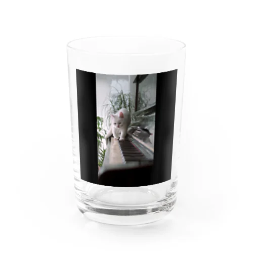 ピアノでねこ Water Glass