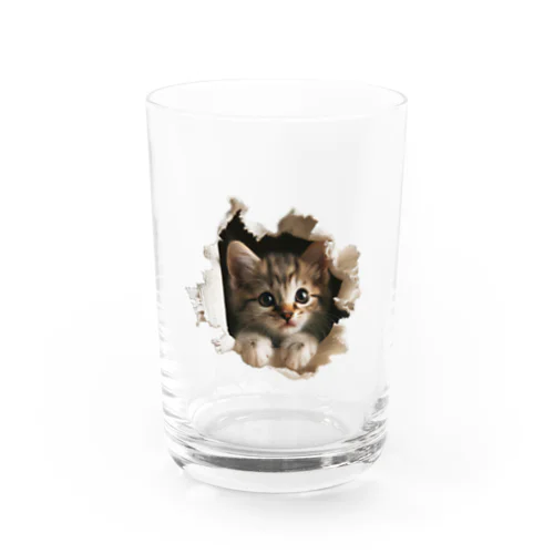 子猫外を見る Water Glass