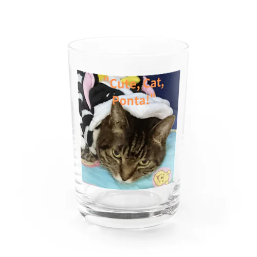 保護猫ボンタさん Water Glass