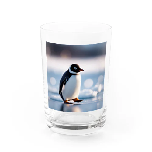 ペンギン Water Glass