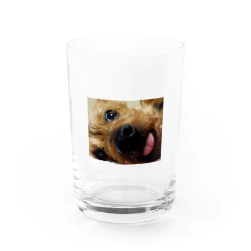 ヨークシャテリア　グッズ Water Glass