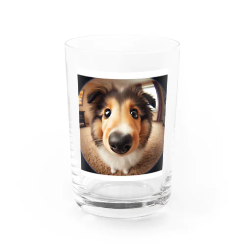 collie Water Glass