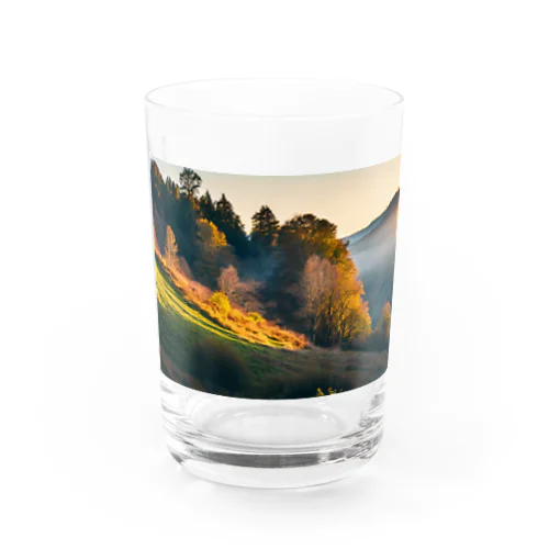 夕日の森 Water Glass