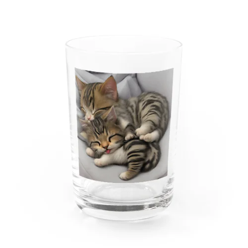  寝ているかわいいこ猫 Water Glass