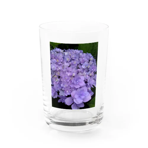 紫陽花（紫） Water Glass