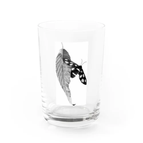 虫　ちょうちょ？ Water Glass