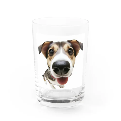 魚眼レンズにうつる、かわいいわんこ Water Glass