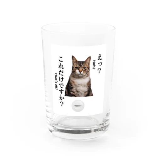 不満顔の猫 グラス