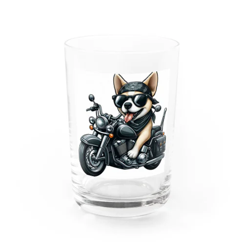 Americandog Water Glass