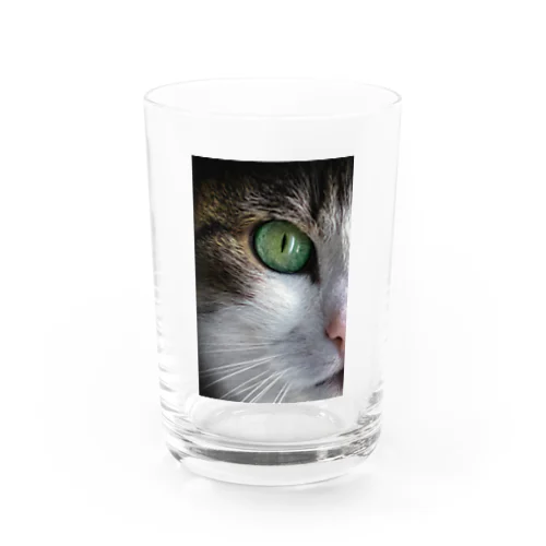 猫（片目） グラス