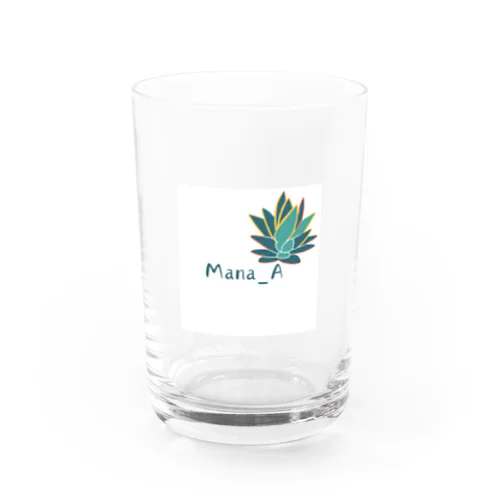 熱帯植物アガベ Water Glass
