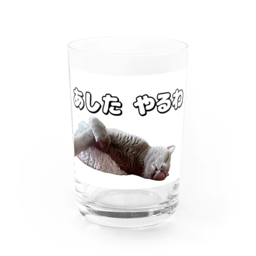 怠惰なねこ（おでぶver.） Water Glass