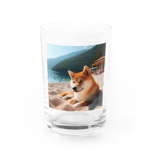 海でまったりしている柴犬さん Water Glass