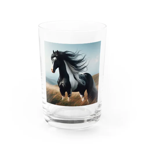 過酷な環境で育った馬 Water Glass