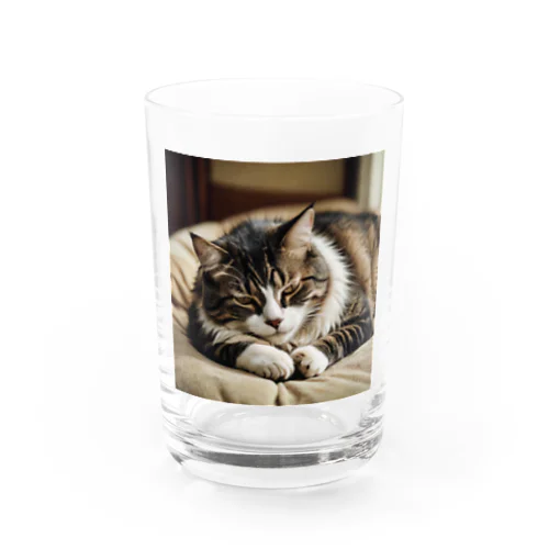 寝落ちラジオ　猫 Water Glass