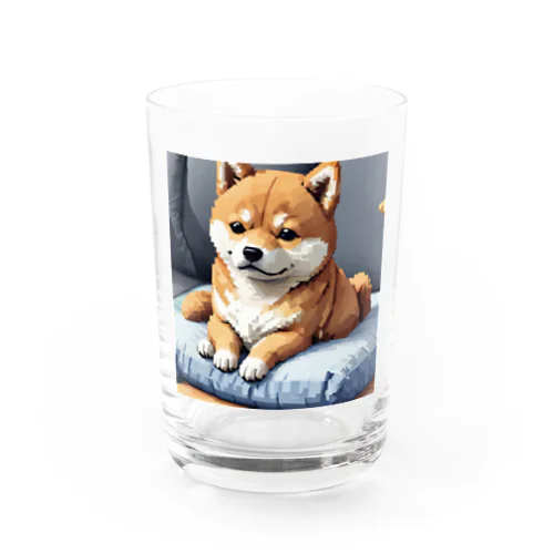 クッションの上でくつろぐ柴犬 Water Glass