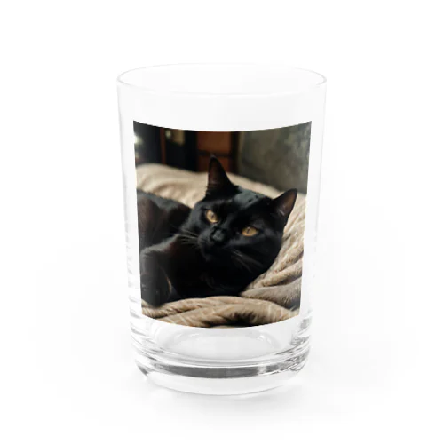 眠る猫 Water Glass