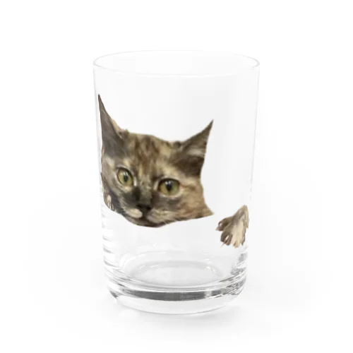 抱きつくまさみちゃん Water Glass