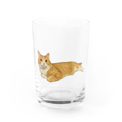 ゴロリンみかんちゃん Water Glass