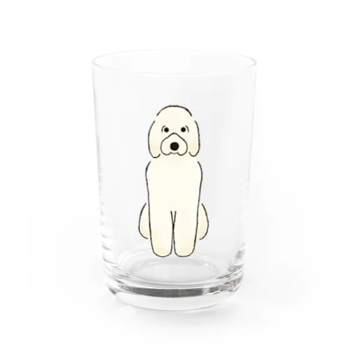 おすわりのゴールデンドゥードル Water Glass