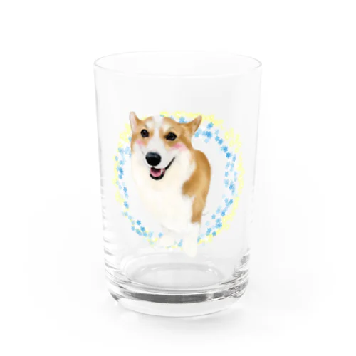 アポロ君はお出かけ大好き Water Glass