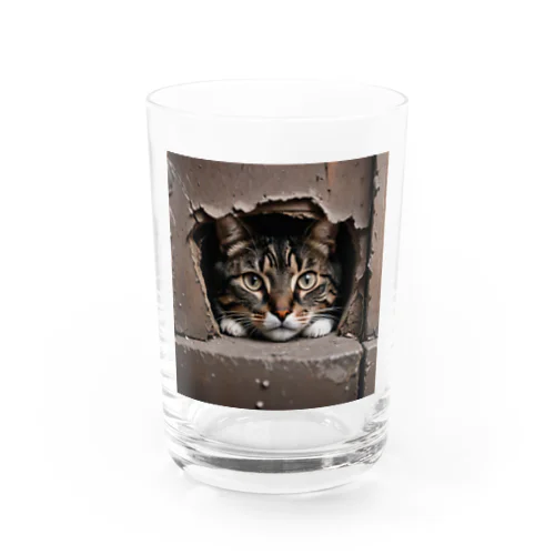 隙間からこんにちは猫 Water Glass