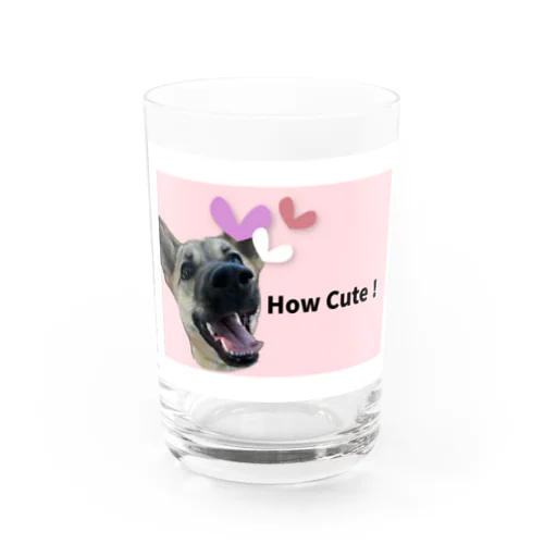 How Cute! Canvas! Water Glass