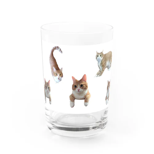 みかんがいっぱい Water Glass