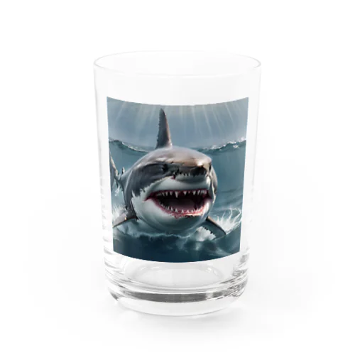 サメ グラス