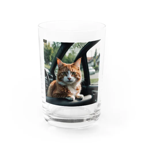 ドライブを楽しむ猫 Water Glass