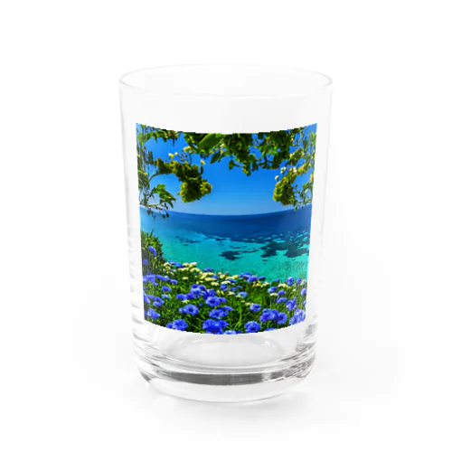 バカンス Water Glass