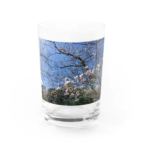 桜が散る頃に Water Glass